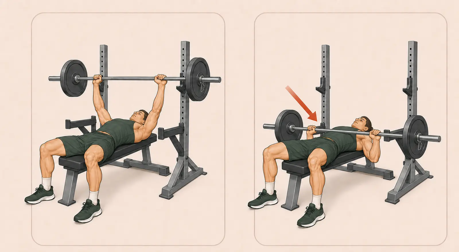 Barbell Bench Press hareketinin bar yukarıda başlangıç ve alt göğse indirilmiş bitiş pozisyonları