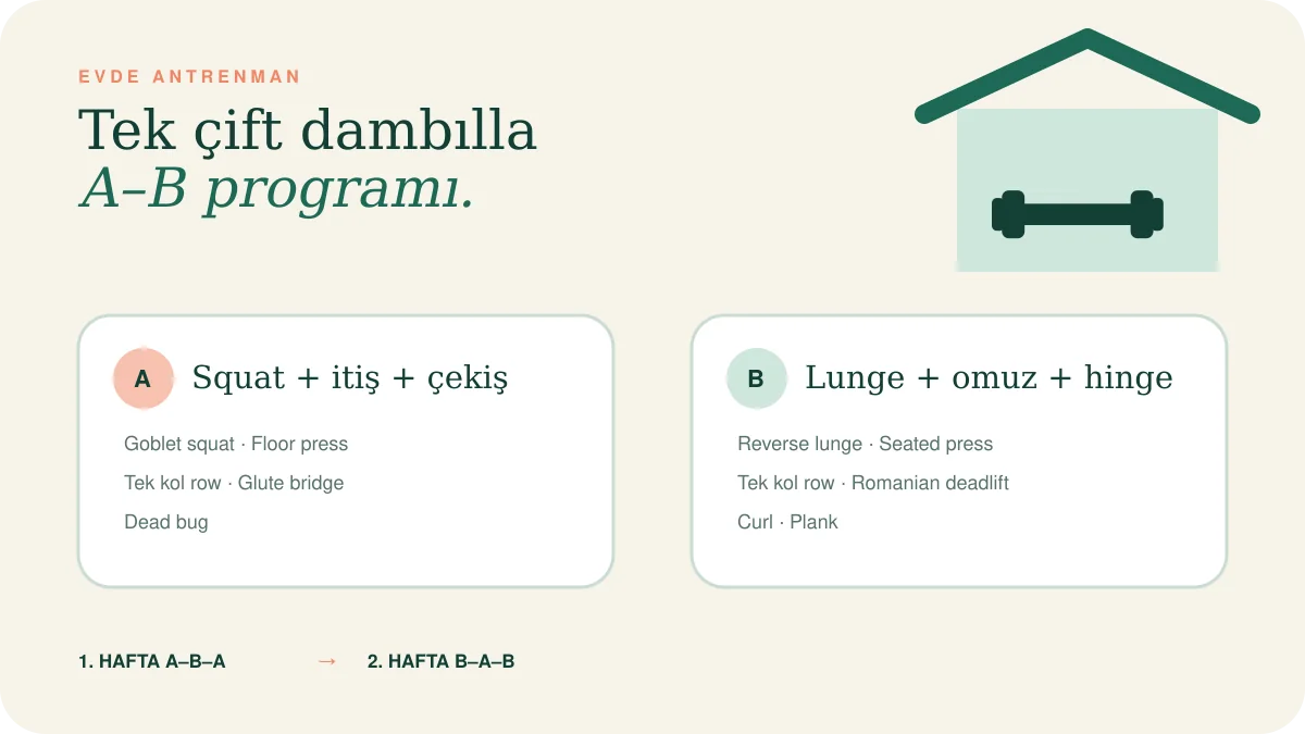 Tek çift dambılla uygulanabilen A ve B günlerinden oluşan evde antrenman programı