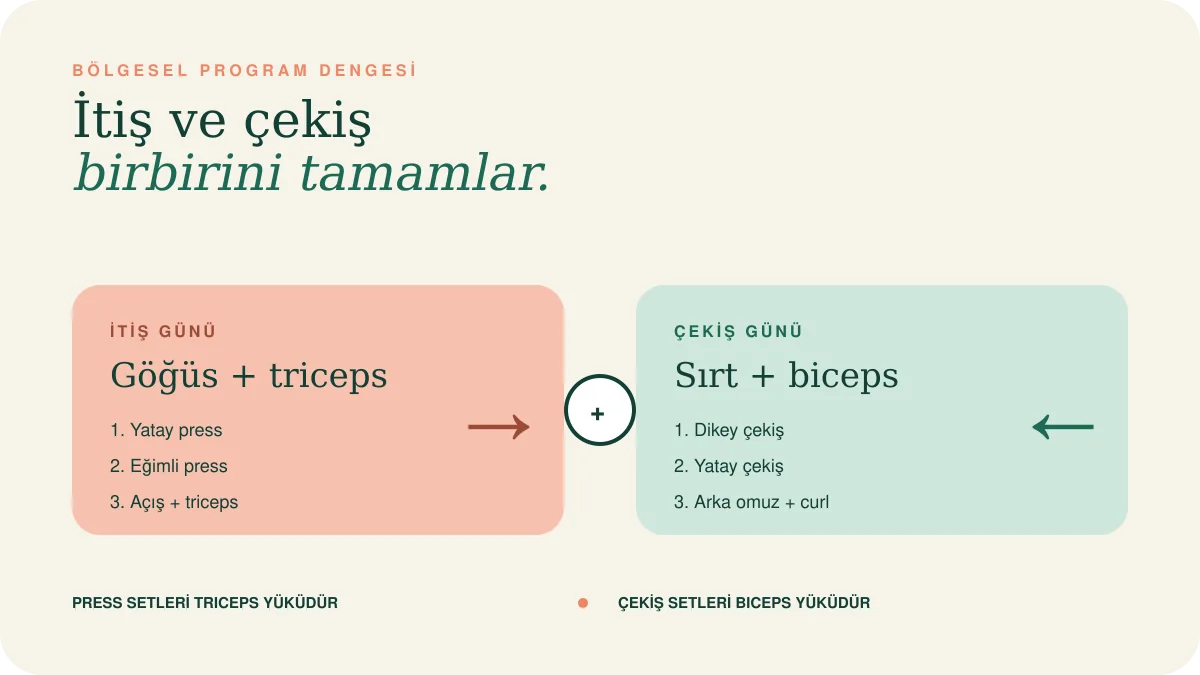 Sırt ve biceps çekiş günü ile göğüs ve triceps itiş gününün dengeli program yapısı